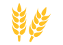 апк1